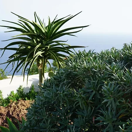Le Casette Di Casa vacanze *