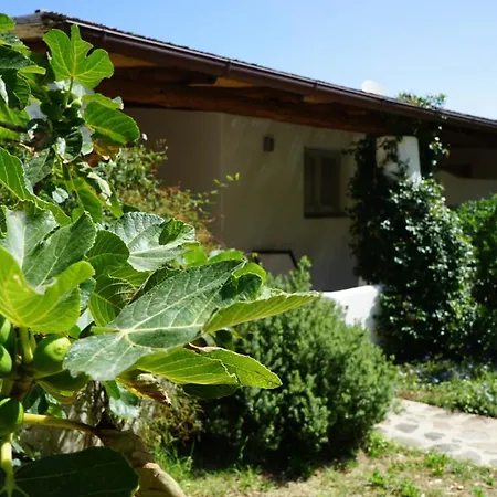 Le Casette Di Malfa (Salina)