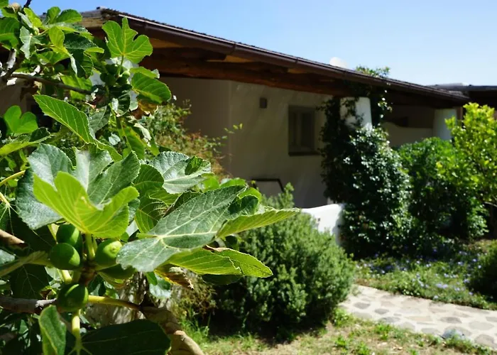 Le Casette Di Malfa (Salina)